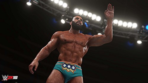 WWE 2K18 - (PS4) PlayStation 4 [Pre-Owned] Video Games 2K Games