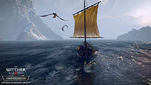 The Witcher 3: Wild Hunt Complete Edition - (NSW) Nintendo Switch Video Games CD Projekt Red   