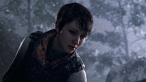 Detroit: Become Human - (PS4) PlayStation 4 [Pre-Owned] Video Games Sony Interactive Entertainment   