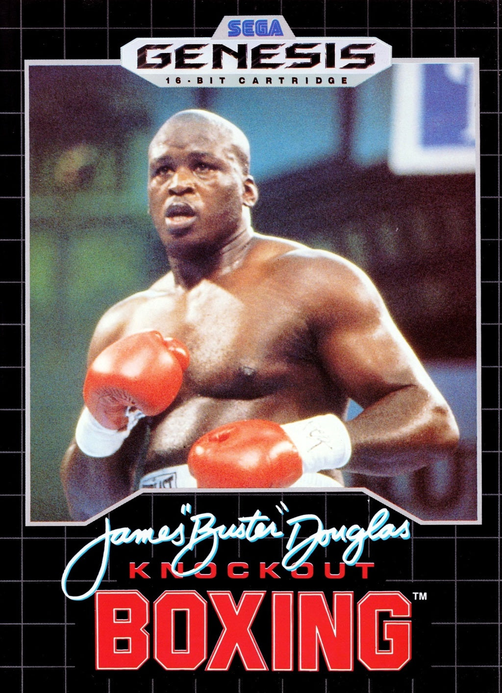 James 'Buster' Douglas Knockout Boxing - (SG) SEGA Genesis [Pre-Owned] Video Games Sega   