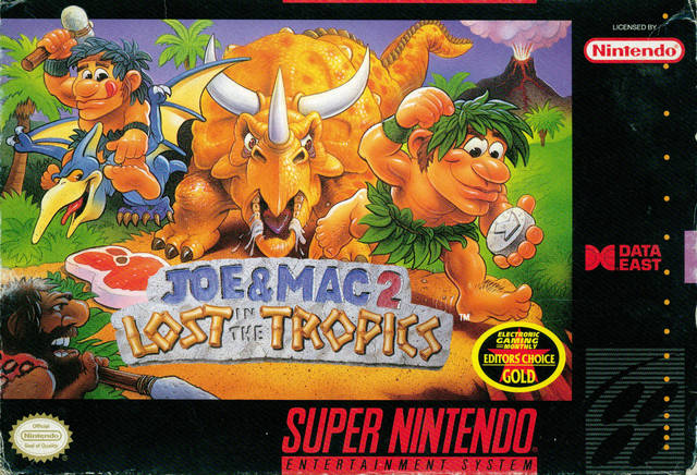 Joe & Mac 2: Lost in the Tropics - (SNES) Super Nintendo [Pre-Owned] Video Games Data East   