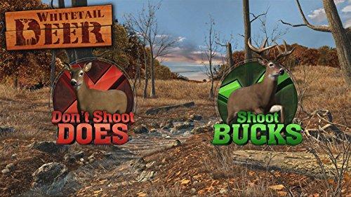 Big Buck Hunter Arcade - (NSW) Nintendo Switch [Pre-Owned] Video Games GameMill Entertainment   
