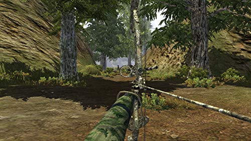 Cabela's: The Hunt Championship Edition - (NSW) Nintendo Switch Video Games Planet Entertainment   