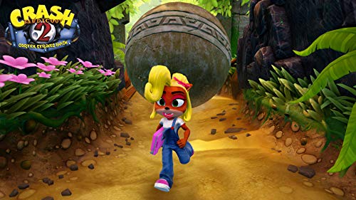 Crash Team Racing + Crash Bandicoot N.Sane Trilogy Bundle - (PS4) PlayStation 4 Video Games ACTIVISION