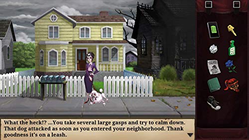 Goosebumps The Game - (NSW) Nintendo Switch Video Games GameMill Entertainment   