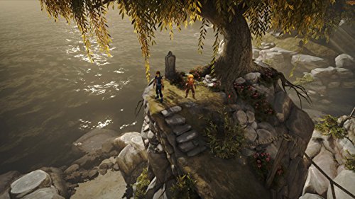 Brothers: A Tale of Two Sons - (PS4) PlayStation 4 Video Games 505 Games