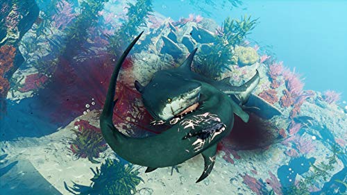 Maneater - (PS5) PlayStation 5 Video Games Deep Silver   