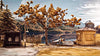 Truberbrook - PlayStation 4 Video Games Merge Games   