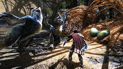 Kingdoms of Amalur: Re-Reckoning - (NSW) Nintendo Switch [UNBOXING] Video Games THQ Nordic   