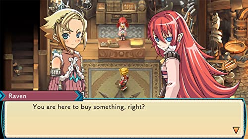 Rune Factory 3 Special - (NSW) Nintendo Switch [Pre-Owned] Video Games XSEED Games