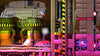 Sonic Generations (Platinum Hits) - Xbox 360 Video Games SEGA   
