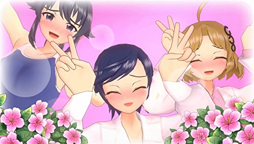 Gal*Gun: Double Peace - (PS4) PlayStation 4 [Pre-Owned] Video Games PQube   