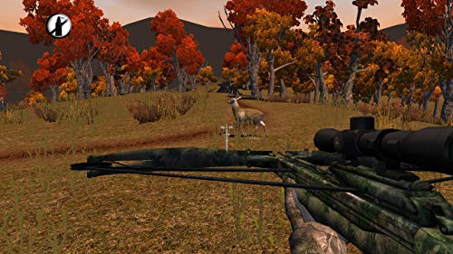 Cabela's: The Hunt Championship Edition - (NSW) Nintendo Switch Video Games Planet Entertainment   