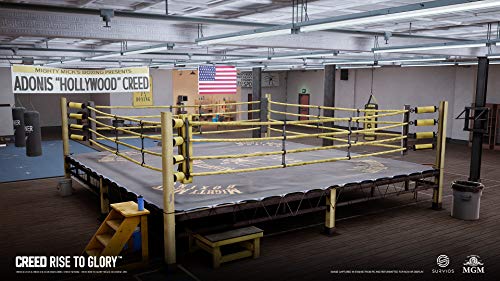Creed: Rise to Glory (PlayStation VR) - (PS4) Playstation 4 Video Games PlayStation   