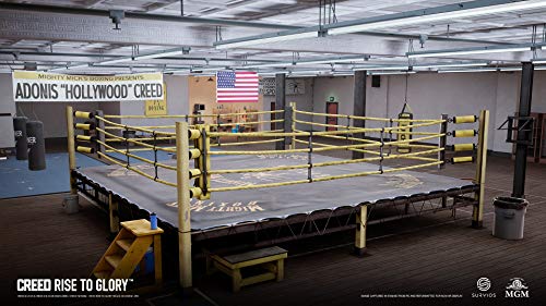 Creed: Rise to Glory (PlayStation VR) - (PS4) Playstation 4 Video Games Sony Interactive Entertainment   