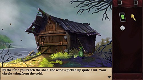 Goosebumps The Game - (NSW) Nintendo Switch Video Games GameMill Entertainment   
