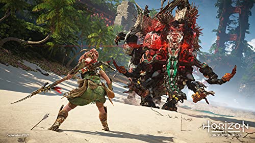 Horizon Forbidden West Regalla Edition - PS4 & PS5 Entitlements - (PS4) PlayStation 4 Video Games PlayStation   