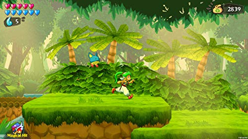 Wonder Boy - Asha in Monster World - (NSW) Nintendo Switch (European Import) Video Games ININ   