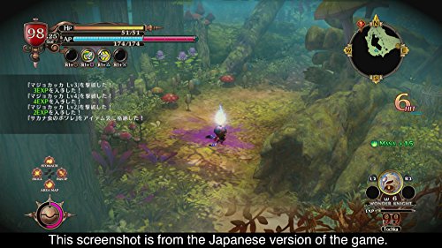 The Witch and the Hundred Knight 2 - (PS4) PlayStation 4 Video Games NIS America   
