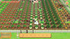 Story of Seasons: Pioneers of Olive Town (Premium Edition) - (NSW) Nintendo Switch Video Games XSEED Games   