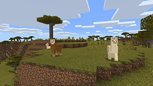 Minecraft - (NSW) Nintendo Switch Video Games Mojang AB   