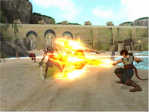 Dragon Blade: Wrath Of Fire - Nintendo Wii [Pre-Owned] Video Games D3 Publisher   