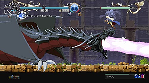 Record of Lodoss War: Deedlit in Wonder Labyrinth - (PS5) PlayStation 5 Video Games Red Art Games   