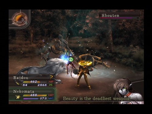 Shin Megami Tensei: Devil Summoner Raidou Kuzunoha vs The Soulless Army - (PS2) PlayStation 2 [Pre-Owned] Video Games Atlus   