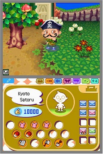 Animal Crossing: Wild World - (NDS) Nintendo DS [Pre-Owned] Video Games Nintendo   