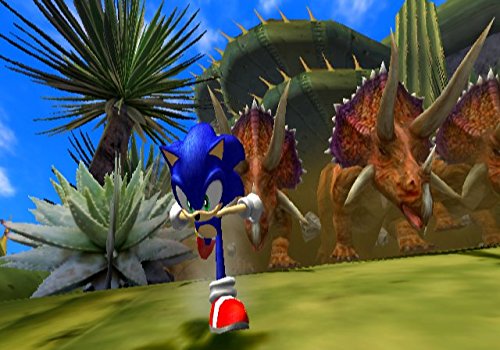 Sonic and the Secret Rings (With Bonus Disc) - Nintendo Wii [Pre-Owned] Video Games SEGA   