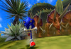 Sonic and the Secret Rings (With Bonus Disc) - Nintendo Wii [Pre-Owned] Video Games SEGA   