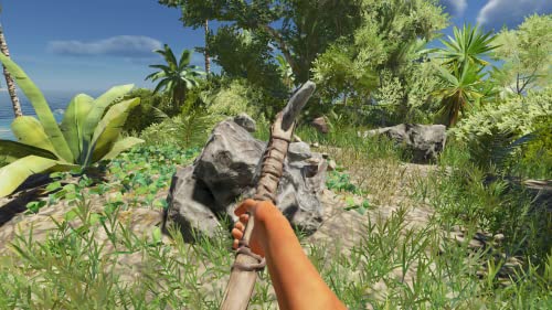 Stranded Deep - (NSW) Nintendo Switch [UNBOXING] Video Games Beam Team   