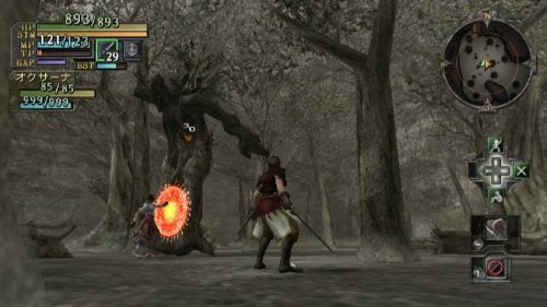 Valhalla Knights: Eldar Saga - Nintendo Wii Video Games Xseed   