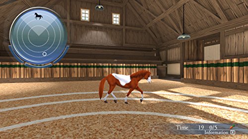 My Riding Stables - Life with Horses - (NSW) Nintendo Switch Video Games Kalypso   