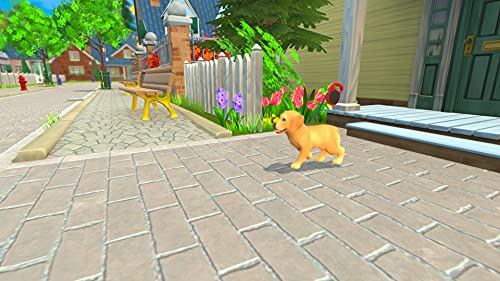 My Universe: Puppies and Kittens - (NSW) Nintendo Switch Video Games Maximum Games   
