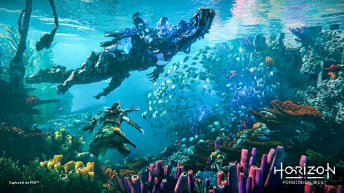 Horizon Forbidden West Regalla Edition - PS4 & PS5 Entitlements - (PS4) PlayStation 4 Video Games PlayStation   