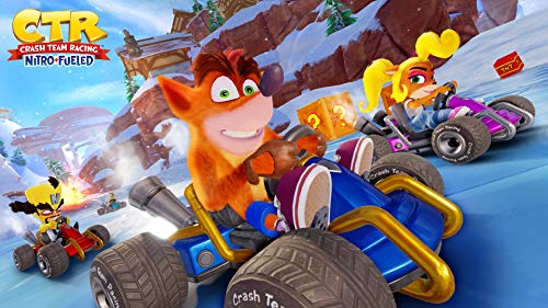 Crash Team Racing + Crash Bandicoot N.Sane Trilogy Bundle - (PS4) PlayStation 4 Video Games ACTIVISION