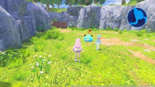 Neptunia: Sisters VS Sisters - (NSW) Nintendo Switch Video Games Idea Factory International   