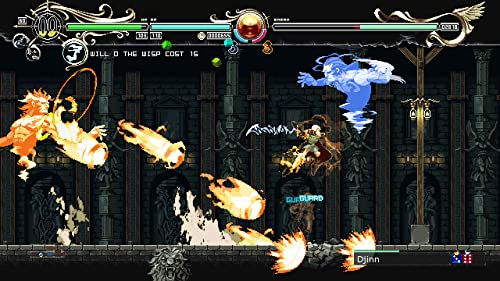 Record of Lodoss War: Deedlit in Wonder Labyrinth - (NSW) Nintendo Switch Video Games Red Art Games   