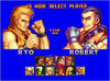 Art of Fighting Anthology - (PS2) PlayStation 2 Video Games SNK   