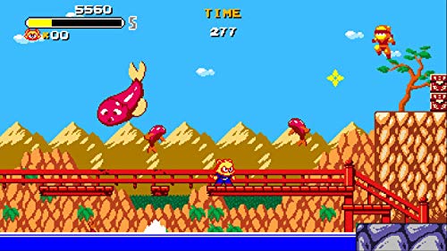 Tanuki Justice - (NSW) Nintendo Switch Video Games VGNYsoft   