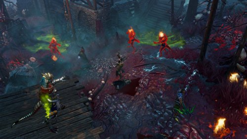 Divinity: Original Sin II (Definitive Edition) - (XB1) Xbox One Video Games BANDAI NAMCO Entertainment   