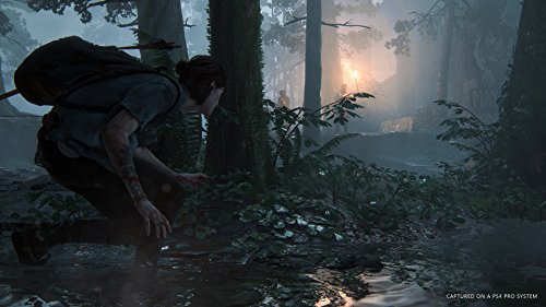The Last of Us Part II ( Special Edition ) - (PS4) PlayStation 4