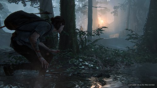 The Last of Us Part II ( Special Edition ) - (PS4) PlayStation 4 Video Games Playstation   
