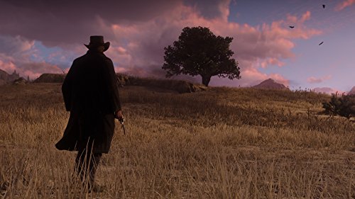 Red Dead Redemption II officialise ses différentes éditions Red Dead Redemption II officialise ses différentes éditions