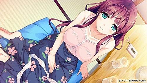 Maitetsu: PureStation - (NSW) Nintendo Switch (Japanese Import) Video Games Circle Entertainment   