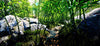 Shenmue III - (PS4) PlayStation 4 Video Games Deep Silver   