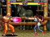 Art of Fighting Anthology - (PS2) PlayStation 2 Video Games SNK   