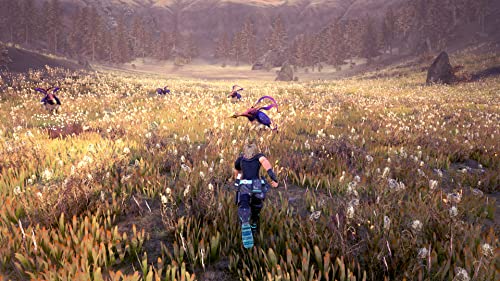 Star Ocean The Divine Force - (PS4) PlayStation 4 Video Games Square Enix   