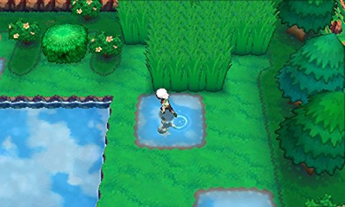 Pocket Monsters Alpha Sapphire - Nintendo 3DS [Pre-Owned] (Japanese Import) Video Games Nintendo   